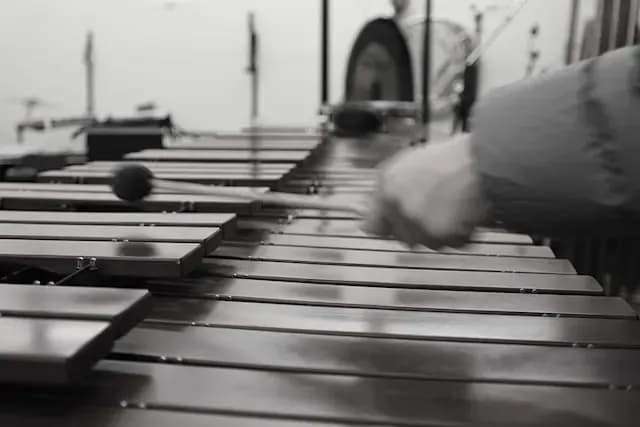 Percusión