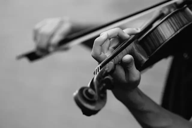 Violín