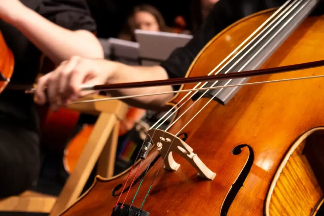 Violonchelo